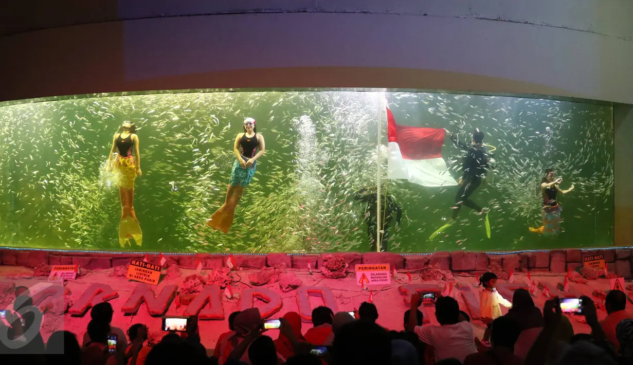 Penyelam dan balerina beratribut putri duyung meramaikan pengibaran bendera Merah Putih di dalam aquarium Ocean Dream Samudra, Ancol, Jakarta (17/8). Beragam acara  disiapkan Taman Impian Jaya Ancol pada HUT RI ke-71 ini. (Liputan6.com/Immanuel Antonius)