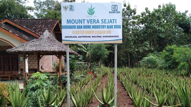 Klaster Hidupku, Program Klaster UMKM Binaan BRI