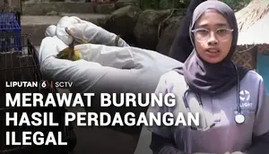 Rumah Sakit Burung Selamatkan Satwa Korban Perdagangan Ilegal