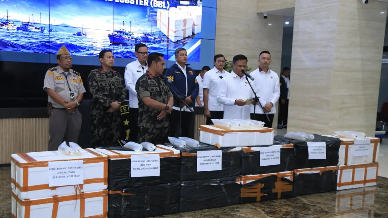 Polri Gagalkan Penyelundupan 12 Boks Benih Lobster Senila Rp 5,8 M