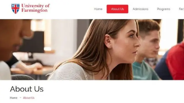 Situs University of Farmington, yang merupakan universitas palsu (dokumentasi BBC)