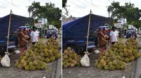 Durian Tembaga Jadi Primadona di Bengkulu