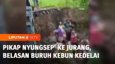 Sebuah mobil pikap yang mengangkut belasan pekerja kebun kedelai masuk ke jurang di Desa Tangsil Wetan, Bondowoso, Jawa Timur. Akibat kecelakaan ini sejumlah orang terluka.