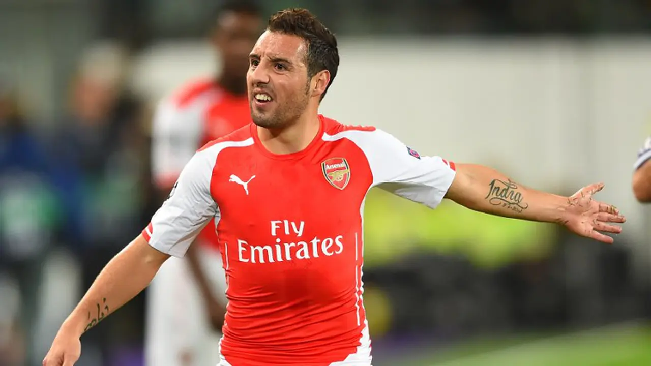 Santi Cazorla (AFP PHOTO / EMMANUEL DUNAND)