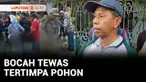 Kegiatan jalan-jalan santai berubah jadi duka di Bangkalan, Jawa Timur. Seorang bocah SD peserta jalan santai tewas tertimpa batang pohon yang tumbang.