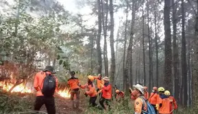 Karhutla Gunung Lawu Belum Padam Total