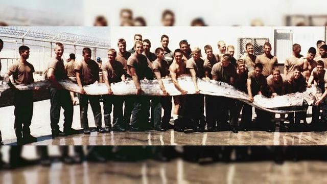 Oarfish raksasa saat ditemukan oleh taruna Navy SEALs 1996 (US Navy)