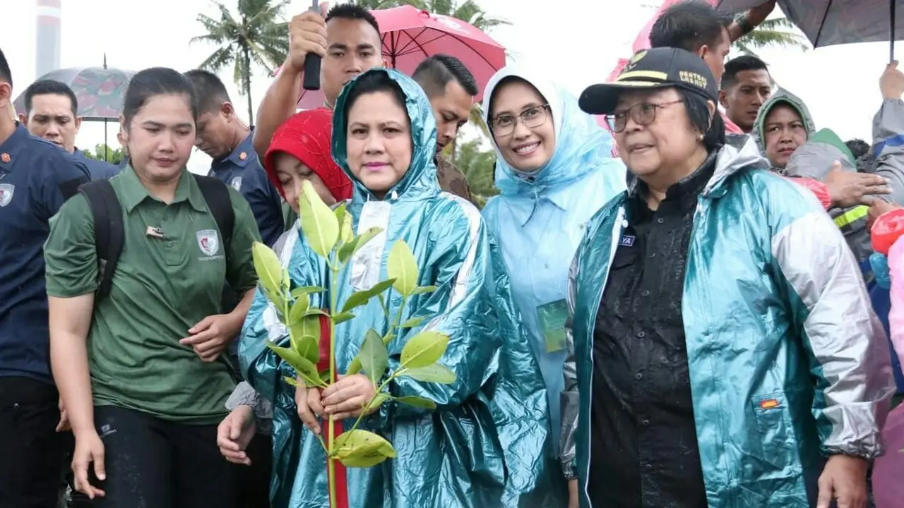 Ibu Negara Iriana Joko Widodo menanam mangrove di Labuan, Banten, Senin (11/3/2019).