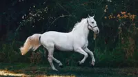 Horse Quotes: 30 Insightful Words to Describe the Beauty of Horses