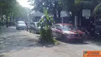 Citizen6, Sidoarjo: Jalan berlubang itu ditanami pohon pisang oleh warga sekitar, agar tidak korban lagi. (Pengirim: Wiro)