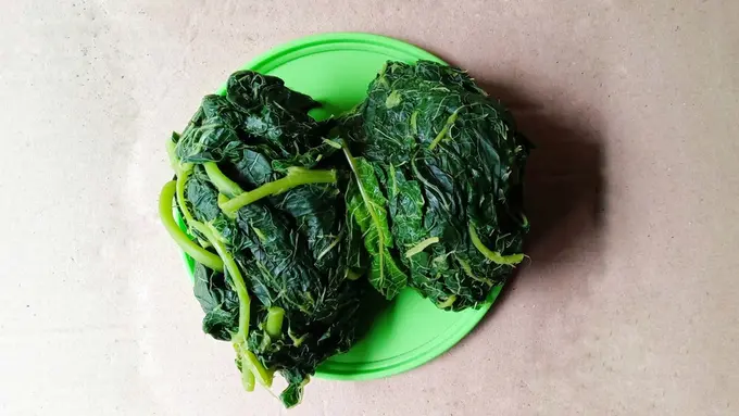 rebus daun pepaya menghilangkan pahit