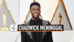 THUMBNAIL CHADWICK