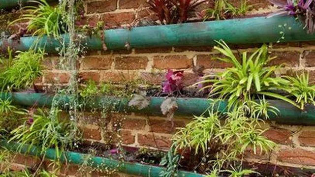 Taman Vertikal Unik yang Hemat Ruang