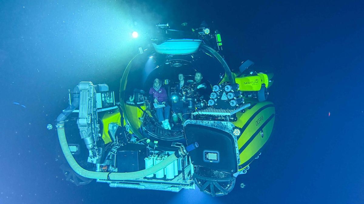 BRIN dan OceanX Identifikasi 14 Megafauna Bawah Laut Sulawesi