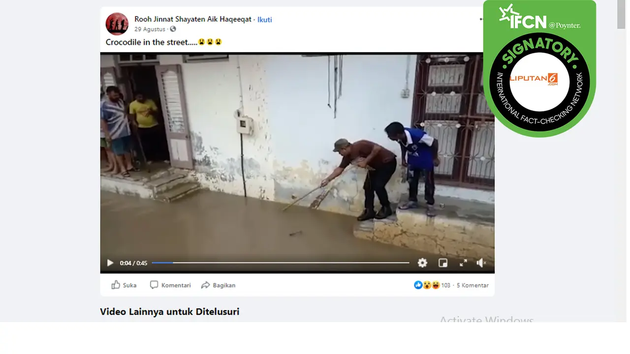 Hoaks video buaya saat banjir