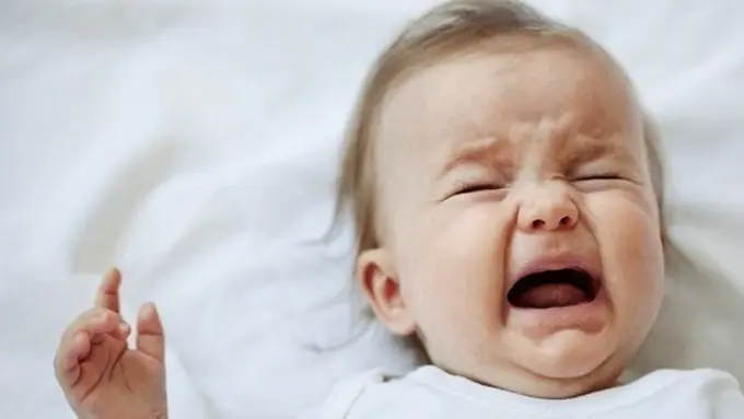 Photo: Copyright Thinkstockphotos.com