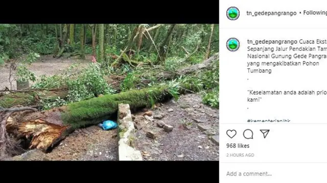 Taman Nasional Gede Pangrango