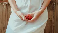 Ilustrasi vagina. Photo by Timothy Meinberg on Unsplash