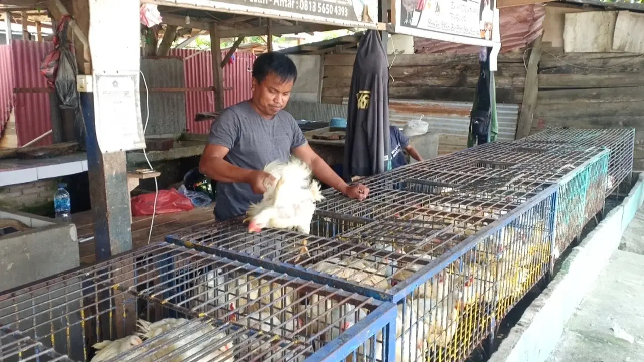 Padang di Pasar