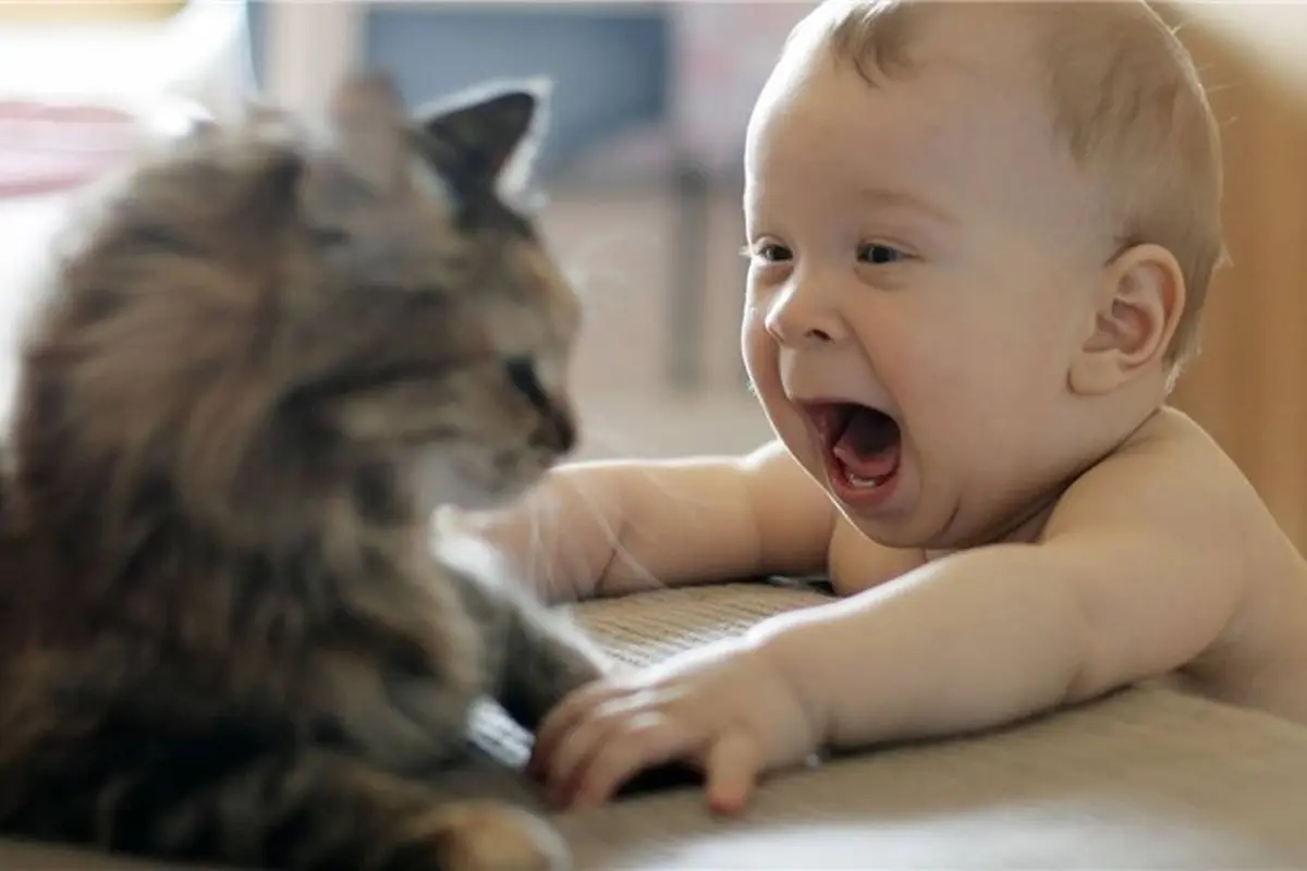 Saat Ibu Merawat Dua Bayi Kembarnya, Repot Tapi Bikin Gemas!