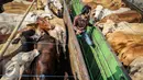 Pekerja memeriksa sejumlah sapi di dalam truk saat pelepasan pasar murah beras dan sapi di Jakarta, Selasa (22/9/2015). Sebanyak 30 truk beras dan sapi didistribusikan ke sejumlah pasar tradisional DKI. (Liputan6.com/Faizal Fanani)