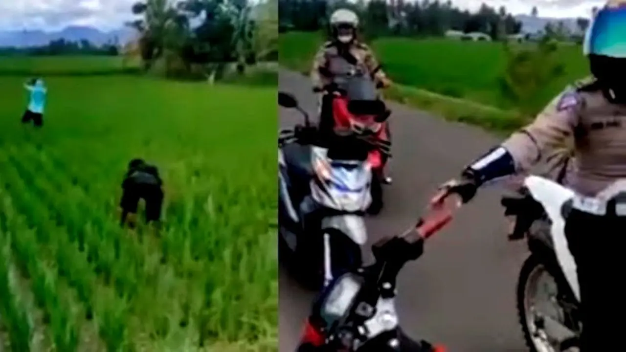 Pelanggar lalu lintas