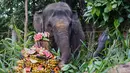 Seekor gajah Sumatra berusia 36 tahun bernama Nurhayati dan anaknya yang berusia 21 bulan, Kama, menikmati paket buah selama sesi pemberian makan khusus untuk merayakan Hari Gajah Sedunia di Bali Zoo, Gianyar, Bali, pada Selasa 12 Agustus 2025. (AP Photo/Firdia Lisnawati)