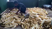 Peuyeum Koroto, Peuyeum Ketan Unik Khas Kabupaten Ciamis