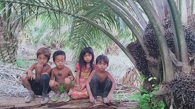 Orang Rimba Jambi