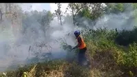 Petugas BPBD Situbondo berjibaku memadamkan api yang bakar kawasan pohon jati (Istimewa)
