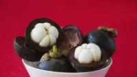 5 Tips Agar Pohon Manggis Berbuah Lebat, Rahasia Panen Melimpah