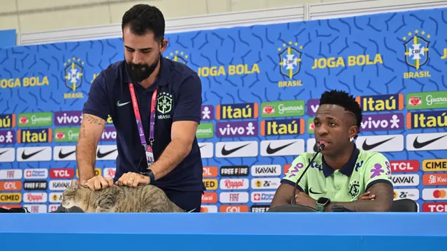 Foto: Momen Lucu, Seekor Kucing Susupi Konferensi Pers Timnas Brasil di Piala Dunia 2022