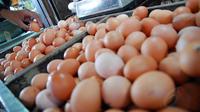 Meski bulan Ramadan masih sekitar 3 minggu lagi, harga telur ayam negeri mulai melambung tinggi (Liputan6.com/Miftahul Hayat) 