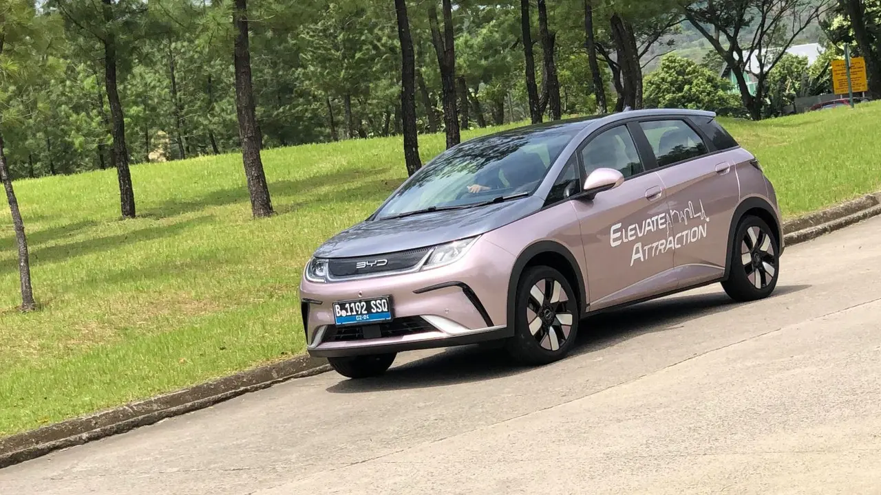 BYD Dolphin
