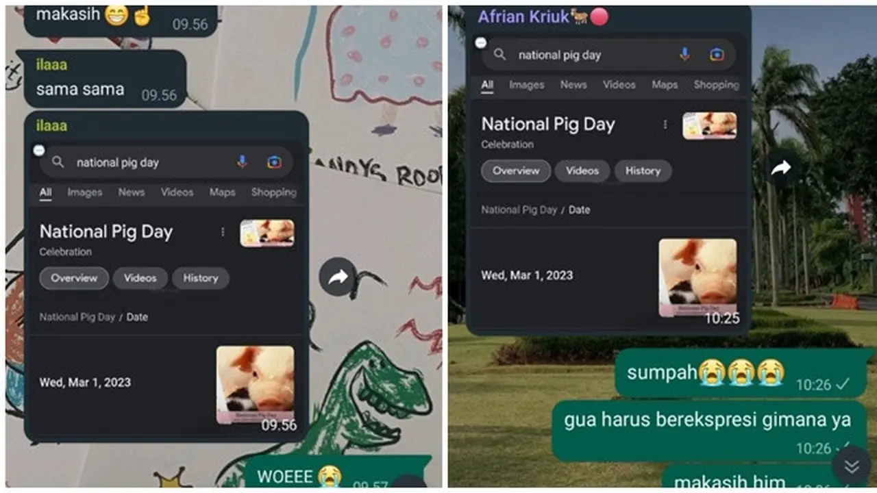 6 Chat National Pig Day ke Teman Ini Kocak, Ujungnya Bikin Emosi