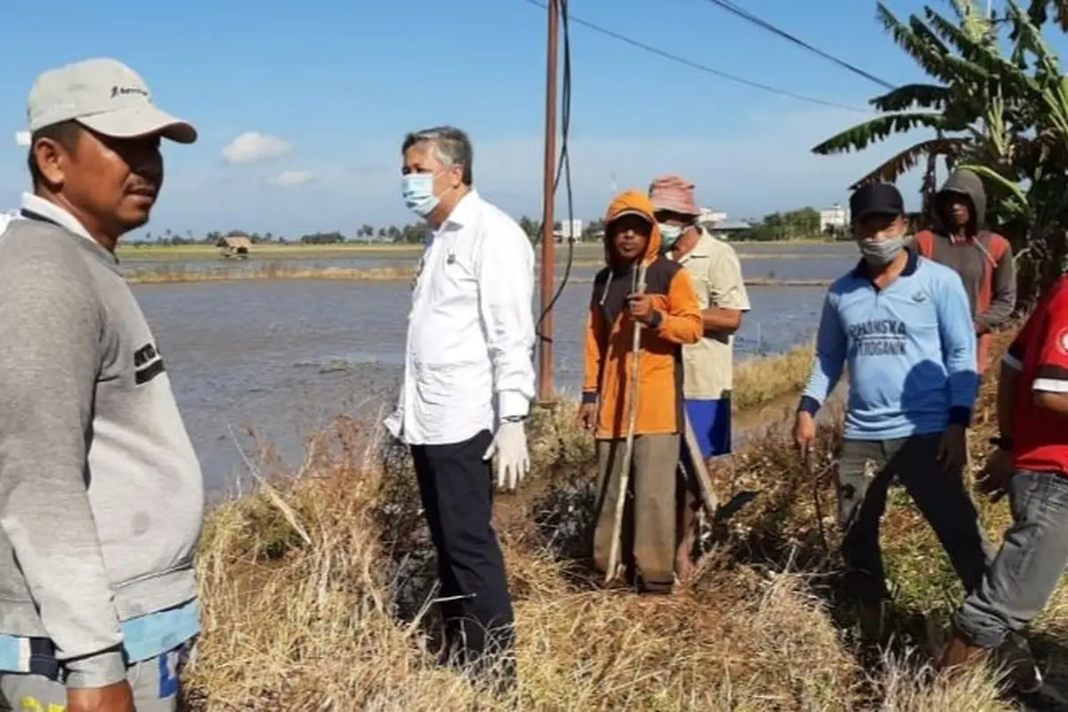 Dinas Pertanian dan Hortikultura melakukan Gerakan Pengendalian (Gerdal) hama tikus di Desa Mattunru-tunrue, Kecamatan Cempa, Pinrang, Sulawesi Selatan. (Dok Kementan)