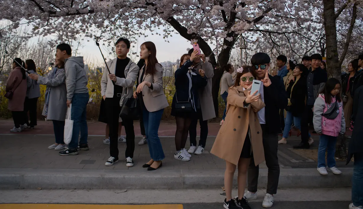 Pengunjung berpose di bawah bunga sakura selama Festival Bunga Musim Semi Yeouido di Seoul, Korea Selatan pada 7 April 2019. Festival ini merupakan festival Cherry Blossom tahunan terbesar yang diselenggarakan pada musim semi di Kota Seoul. (Photo by Ed JONES / AFP)