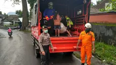 Petugas menggunakan truk bersiap mengevakuasi warga Banjar Pangleg di Desa Jungutan, Karangasem, Bali (28/11). Erupsi Gunung Agung yang masih terjadi menyebabkan sejumlah Desa dikosongkan. (Liputan6.com/ Dewi Divianta)
