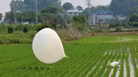 Sebuah balon isi sampah yang diduga dikirim oleh Korea Utara terlihat di sawah di Incheon, Korea Selatan, pada 10 Juni 2024. (Im Sun-suk—Yonhap/AP)