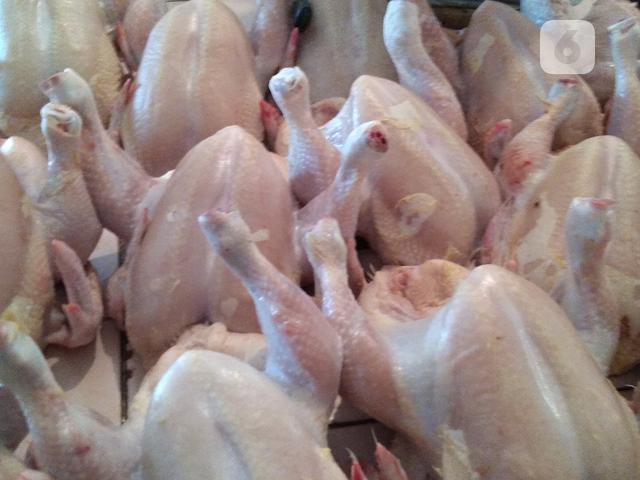 Picu Inflasi Juni 2020 Lonjakan Harga Daging Ayam Akibat Turunnya Produksi Bisnis Liputan6 
