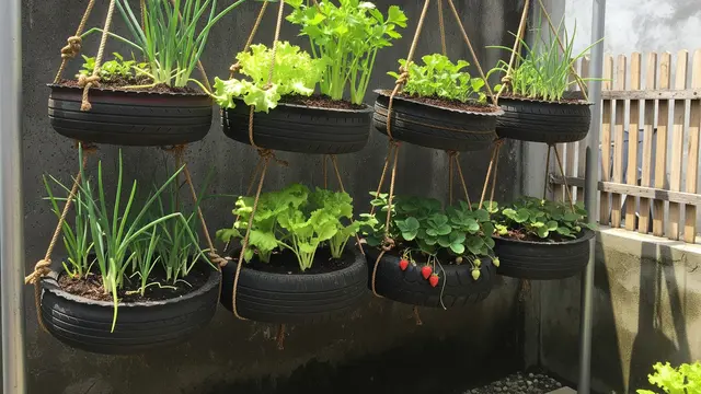 Kebun Sayur Ban Motor Digantung