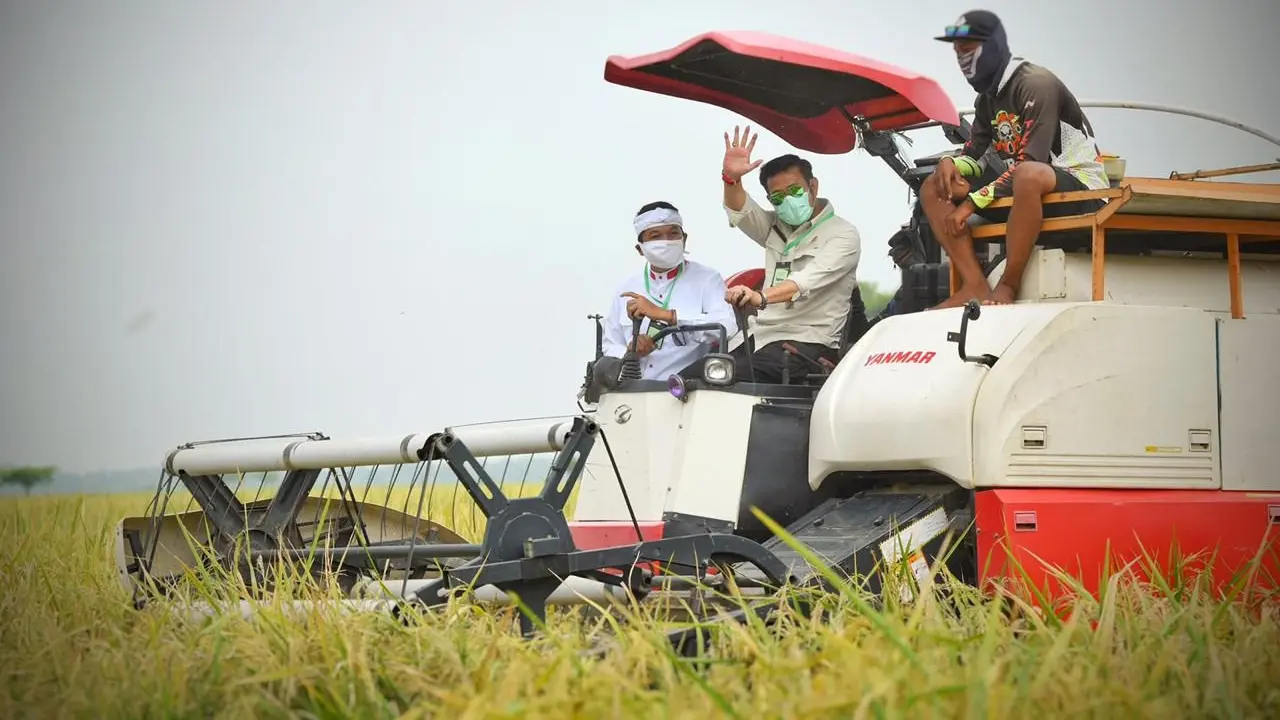 Indonesia dikenal sebagai negara agraris yang begitu subur yang hanya mengenal musim hujan dan kemarau sehingga sangat bagus bagi tanaman. (Dok Kementan)