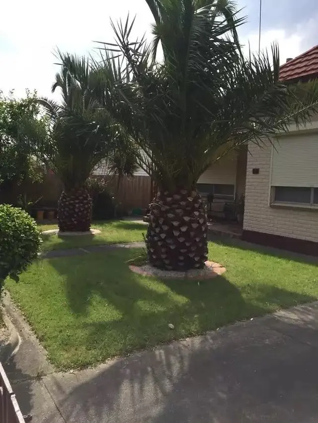 6 Potret Benda Mirip Buah Ini Bikin Melongo, Perlu Teliti