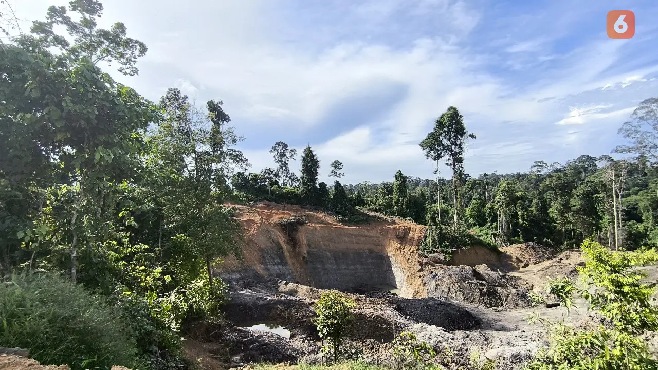 Tambang Batu Bara Ilegal