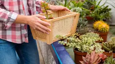 3 Trik Container Gardening yang Bikin Patio Kecil Terlihat Lebih Mewah