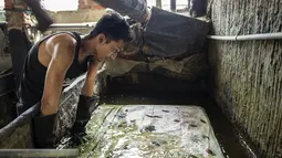Seorang pekerja merendam batik di pabrik "batik" kain tradisional Indonesia di Sidoarjo, Jawa Timur (12/11/2019). UNESCO menetapkan batik sebagai karya agung lisan dan warisan budaya takbenda kemanusiaan. (AFP Photo/Juni Kriswanto)