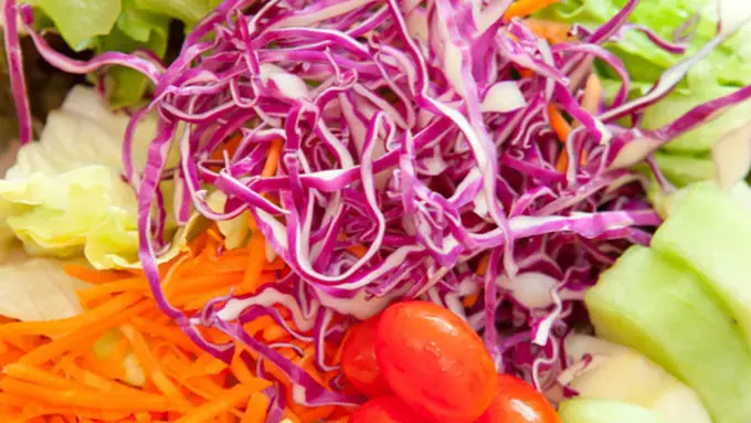 copyright by Shutterstock.com