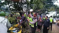 Petugas mengevakuasi jenasah korban yang tertimpa pohon trembesi besar 