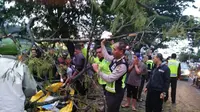 Nasib Pedagang Tempe Tertimpa Pohon 