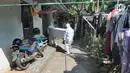 Tim relawan dari Polmas Bogor membawa peti jenazah warga korban COVID-19 yang meninggal saat isolasi mandiri di Bogor, Jawa Barat, Jumat (9/7/2021). Dalam sehari, relawan menangani lima hingga delapan jenazah warga yang meninggal karena COVID-19 saat isolasi mandiri. (merdeka.com/Arie Basuki)